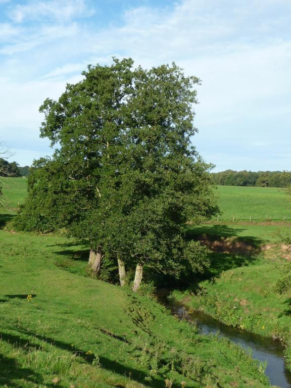 Birtles Farm Bed And Breakfast Knutsford Zewnętrze zdjęcie